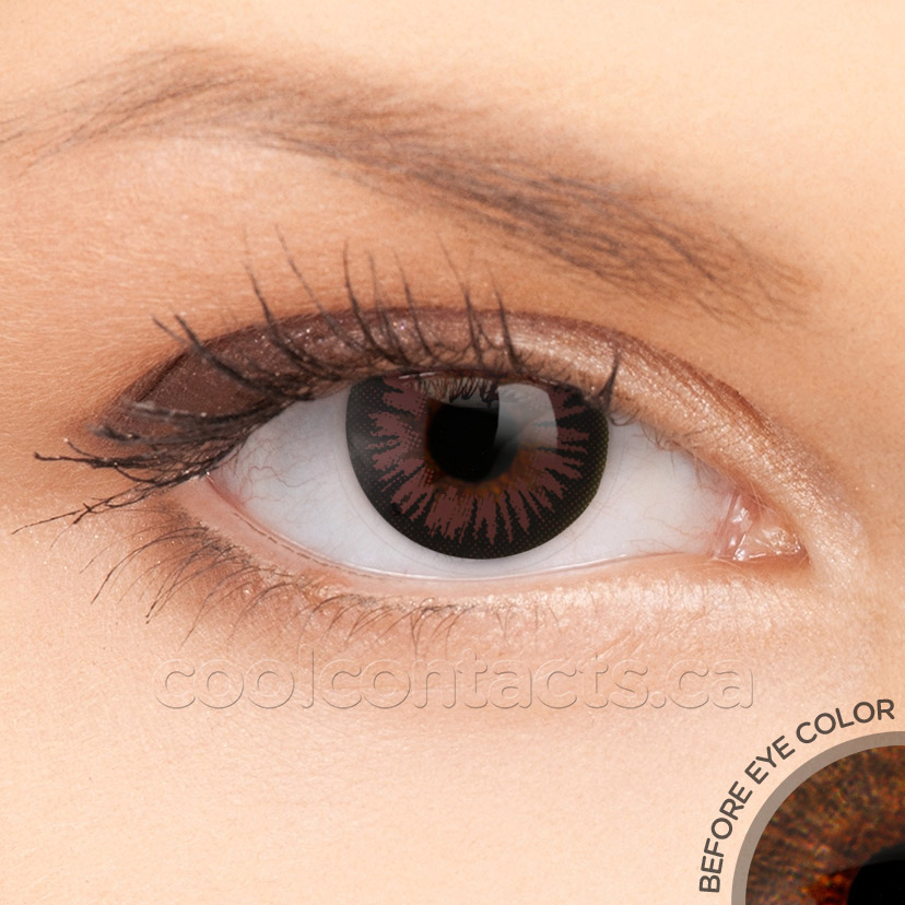 2 T Cocoa Contact Lenses