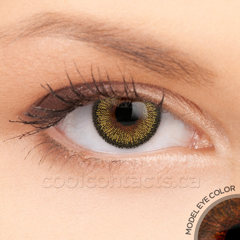 Golden Rise contact lens shown over a brown eye