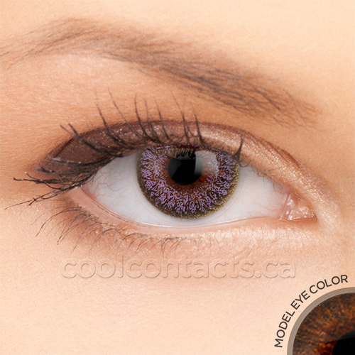 2 Tone Violet Contact Lenses Brown Eyes
